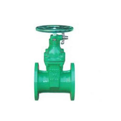 宏球閥門飲用水專用彈性座封閘閥圖片_高清圖_細(xì)節(jié)圖-河北宏球閥門制造 -