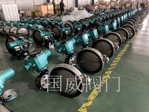 國威提醒,閥門公司應(yīng)多注重品牌延伸發(fā)展問題